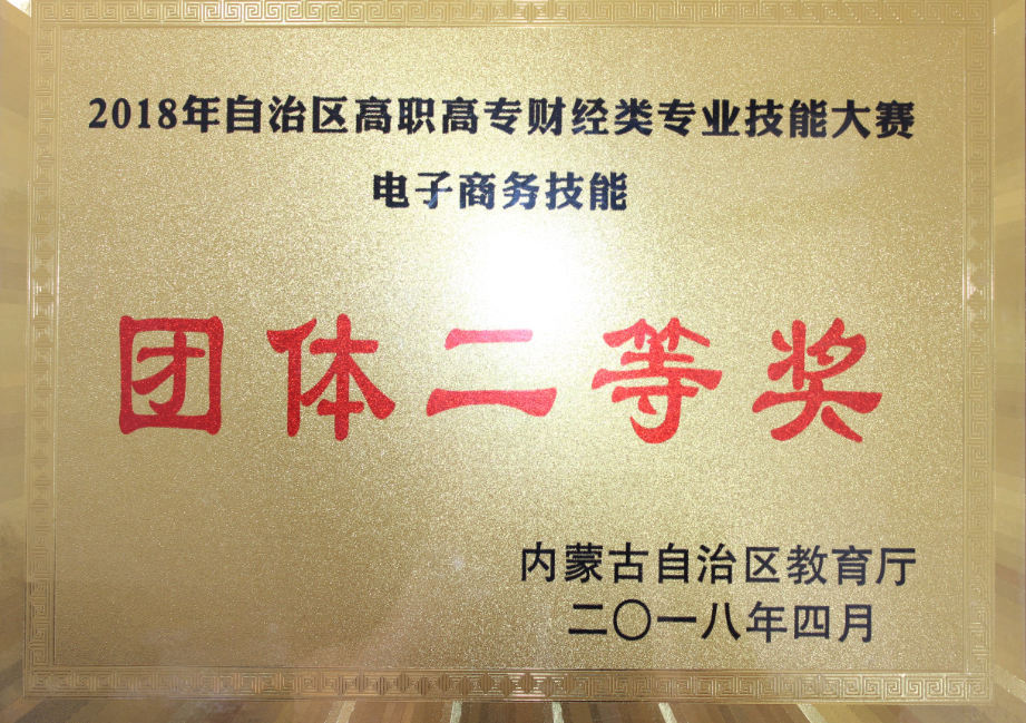 自治区高职高专财经类专业技能大赛 电子商务技能 第二名.png